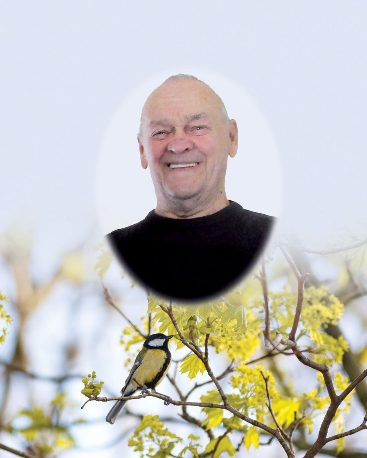 Jean-Paul ``Ti-Jean`` Pelletier