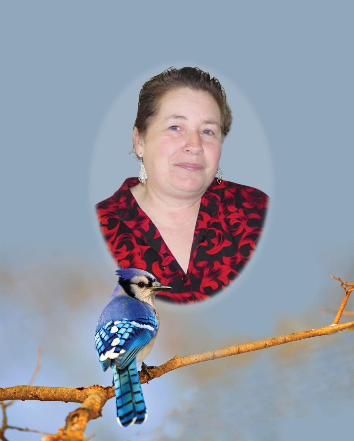 Alleen Fox Beekmeyer