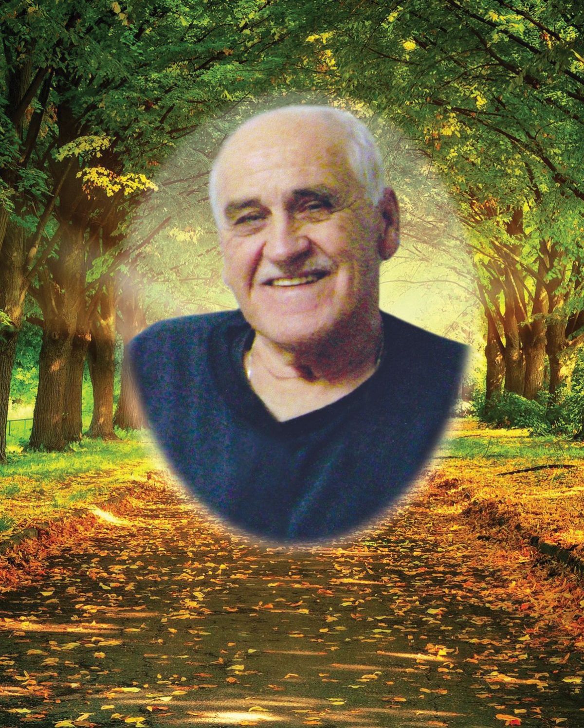 Bertin (Bert) Morin