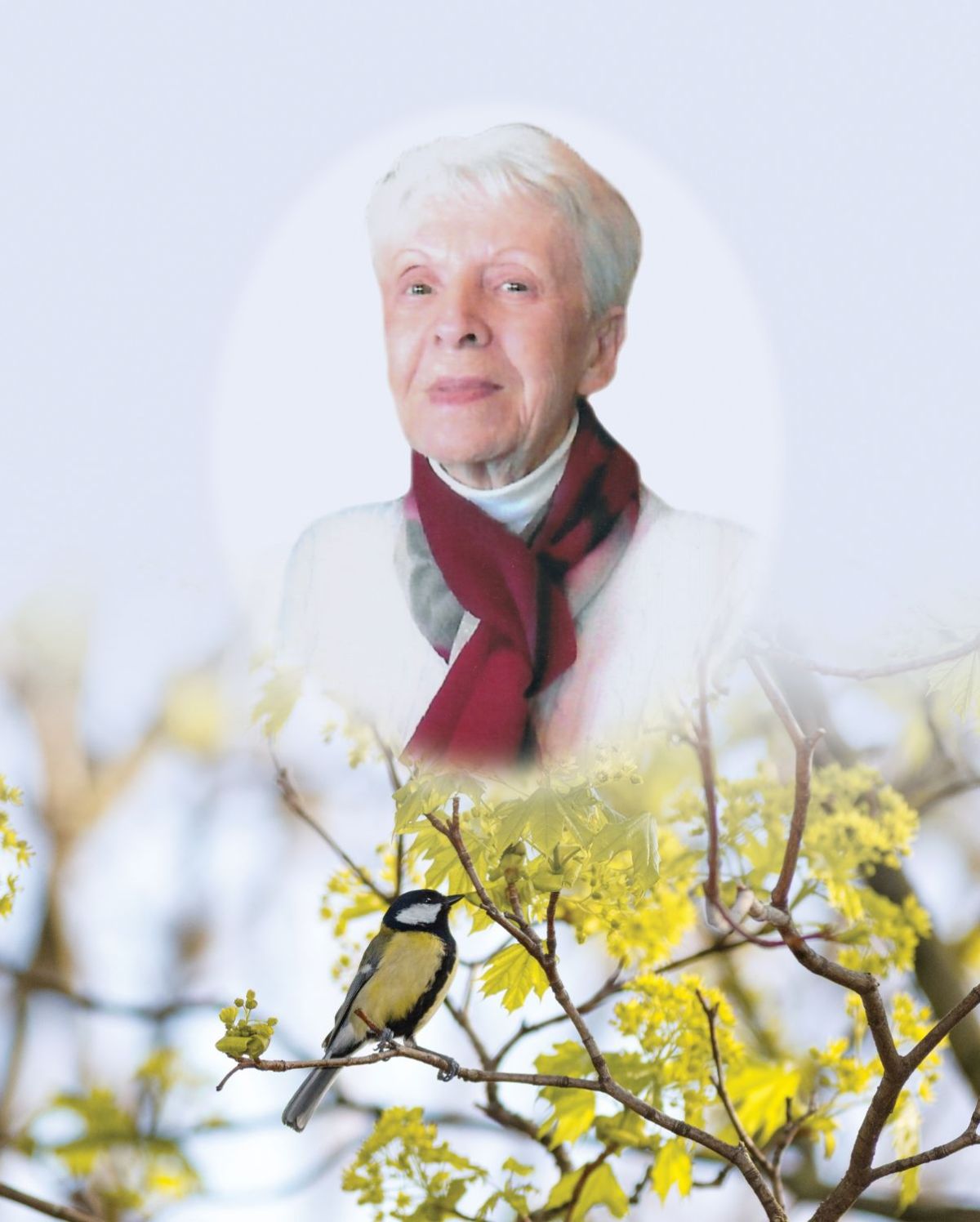 Jeannine Vienneau