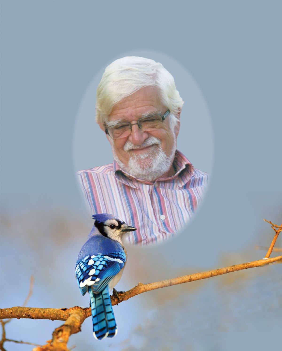 André-Gilles D'Astous