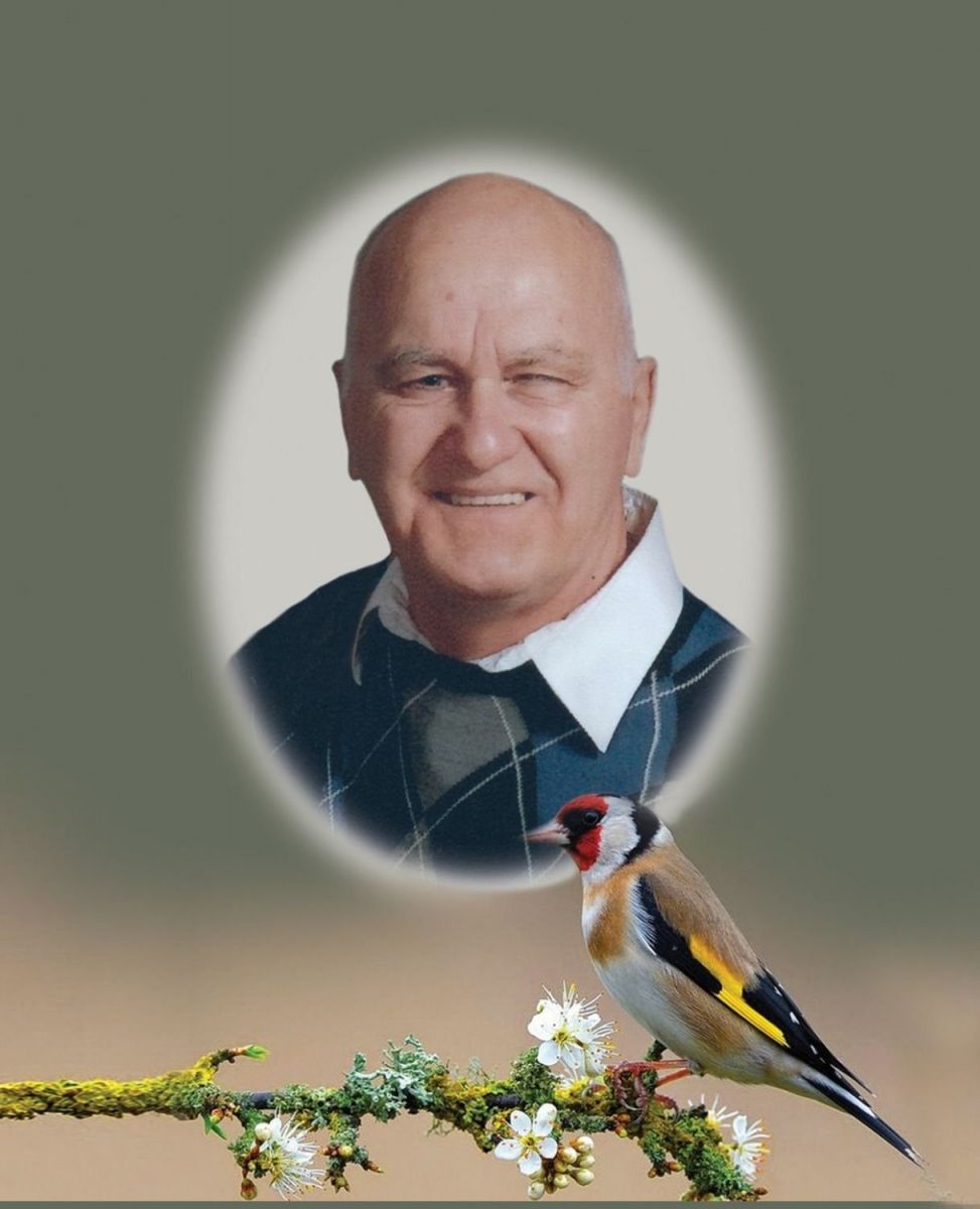 Rino Pelletier